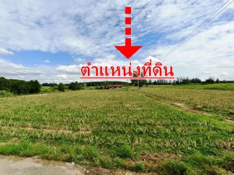 ขายที่ดิน 204ไร่ ม่วงลาย สร้างโรงงาน บ่อวิน ข้าง WHA1