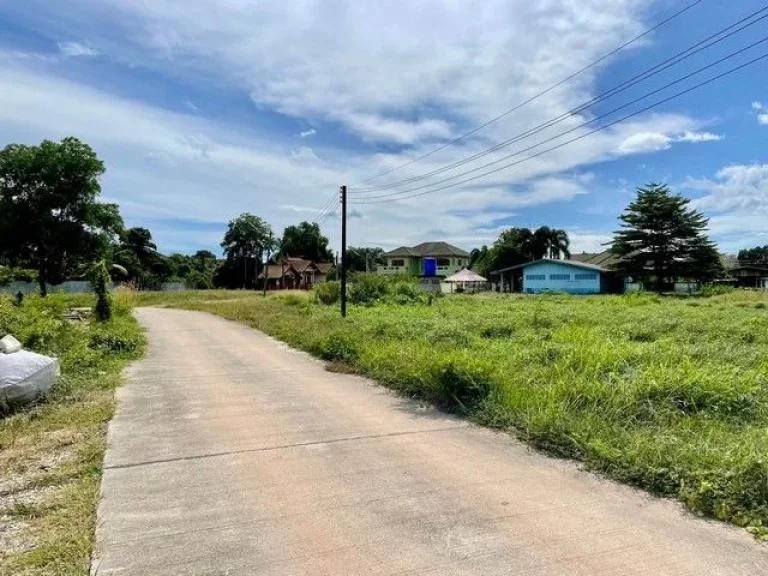 ขายที่ดินเชิงเนินบ้านดอน ติดถนนคอนกรีตเนื้อที่ 128 ตรว