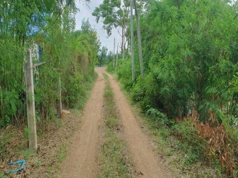 ขายที่ดิน ขนาด 1 งาน 74 ตรว มีไฟฟ้า ประปา ใกล้ โลตัส อยุธยา