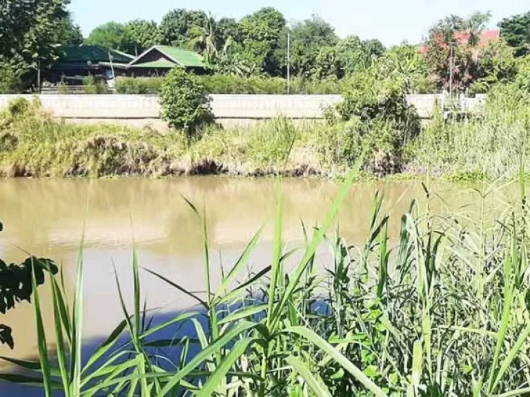 ขายที่ดินพร้อมอพาร์ทเม้นท์ ติดริมแม่น้ำ อำเภอเมืองสุพรรณบุรี