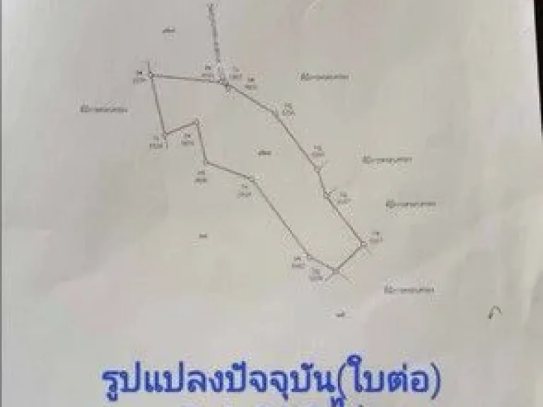 ขายที่ดินโฉนดครุฑแดง นส4 จ พร้อมต้นสักทองเต็มพื้นที่ 6