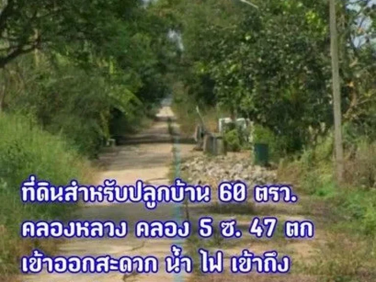 ขายด่วน ที่ดินพร้อมสร้างบ้าน ขนาด 60 ตารางวา ตำบลคลองหลวง