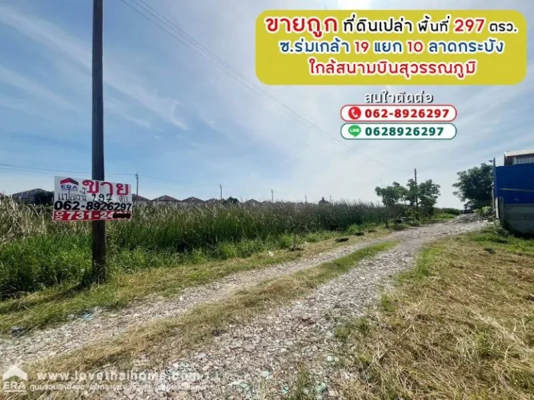 ขายที่ดิน ซอยร่มเกล้า19 แยก10 ลาดกระบัง พื้นที่ 297 ตรว