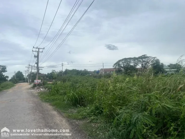 ขายที่ดิน ถนนรังสิต-นครนายก คลอง2 พื้นที่ 108 ตรว ขายเพียง