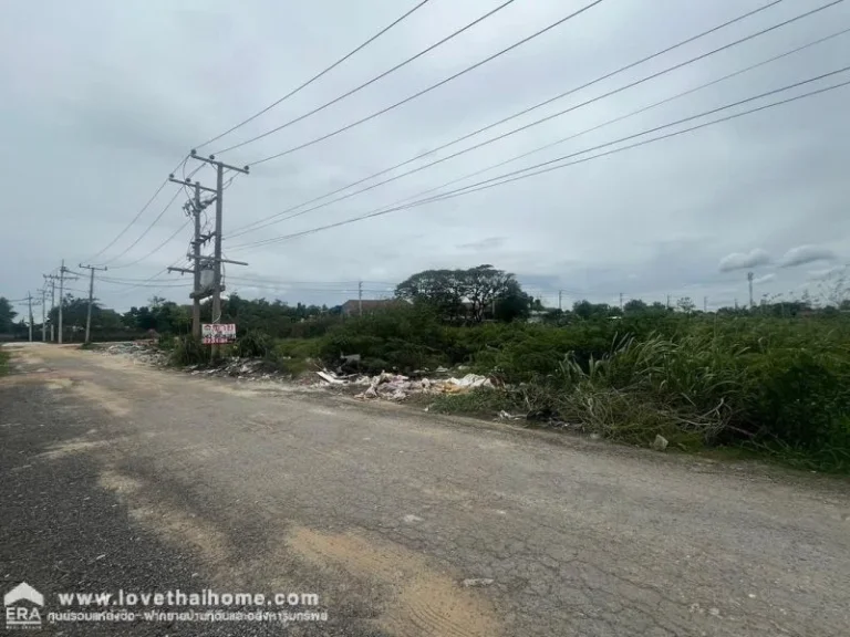 ขายที่ดิน ถนนรังสิต-นครนายก คลอง2 พื้นที่ 108 ตรว ขายเพียง