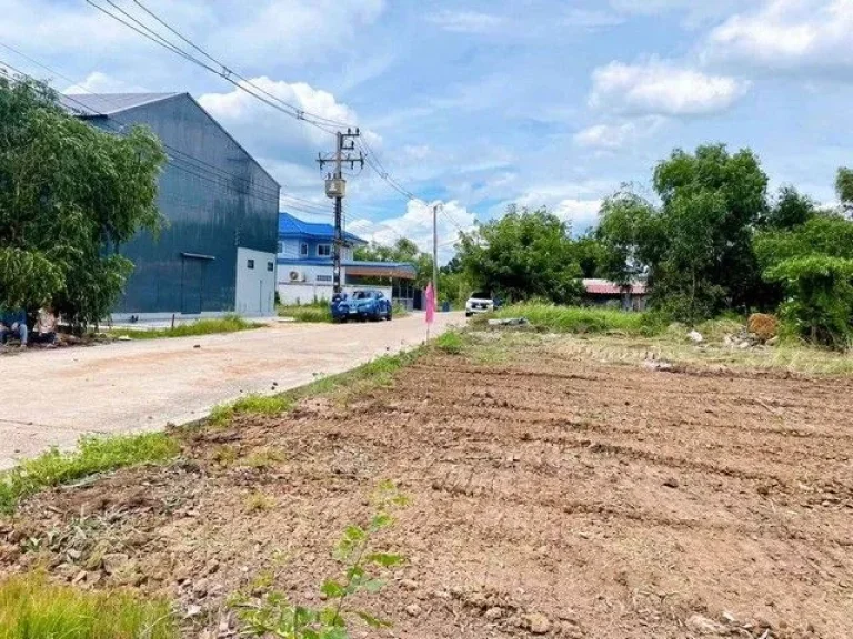 ขายที่ดินคลอง11 หนองเสือ ปทุมธานี น้ำไฟพร้อมหมด ติดถนนคอนกรีต