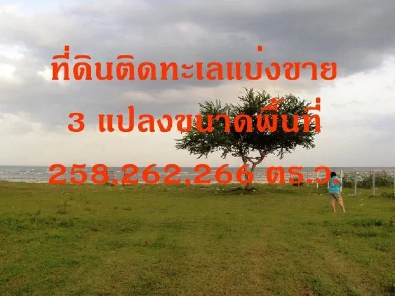 ขายที่ดินติกทะเล 200 ตารางวา หน้าติดหาดส่วนตัว กุยบุรี