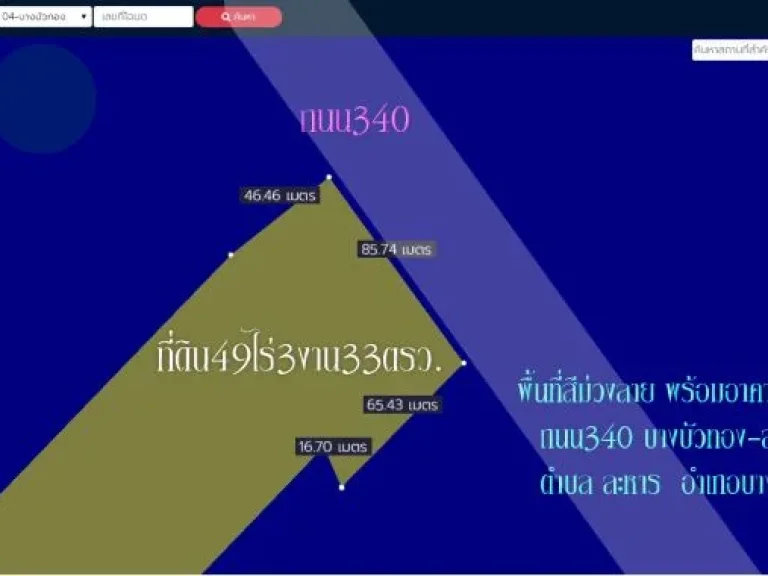 ขายที่ดิน 49ไร่3งาน33ตรว พร้อมอาคาร พื้นที่สีม่วงลาย