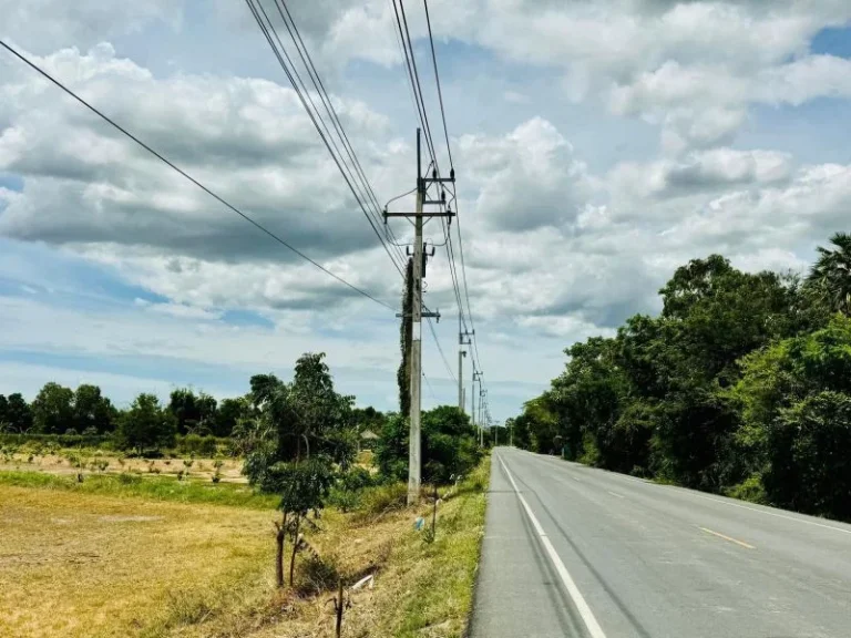 ที่ดินสวย ทำเลทอง อหนองหญ้าไซ จสุพรรณบุรี