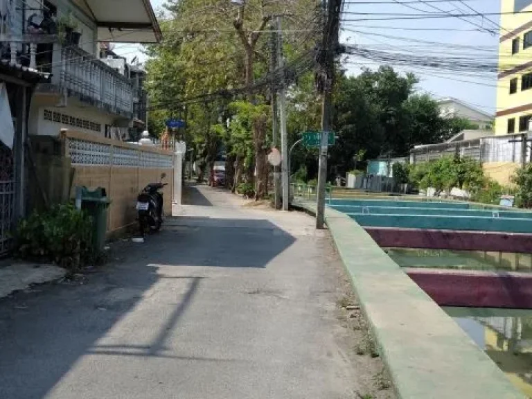 ขายที่ดินพร้อมบ้านเก่าต้องสร้างใหม่ 60 วาสุุขุมวิท 54