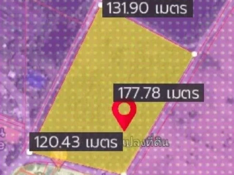 ที่ดินบึงศรีราชา ผังสีม่วงลาย ทำเลดี ใกล้นิคมปิ่นทอง 2