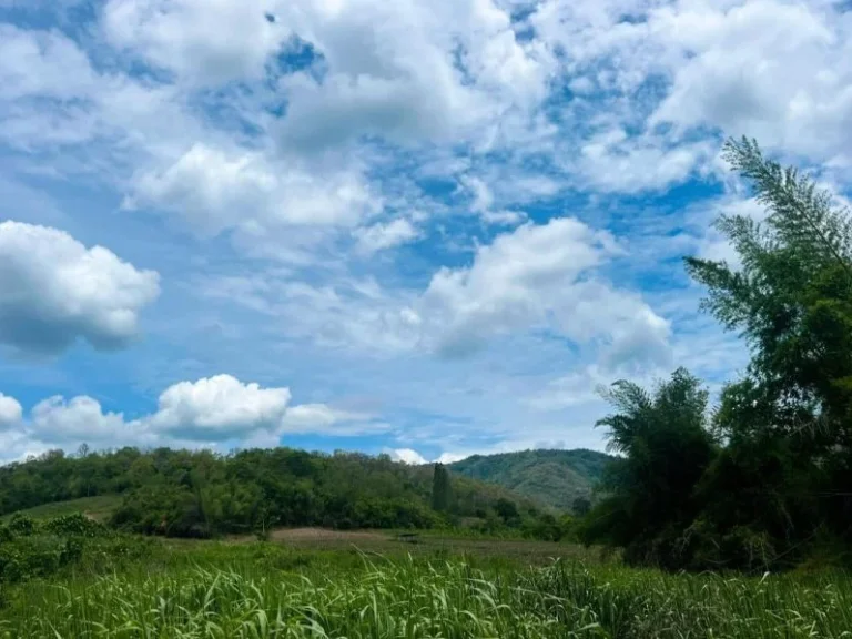 ที่ดินติดลำห้วยสาริกาสา ด้านหลังพิงเขา บรรยากาศดี