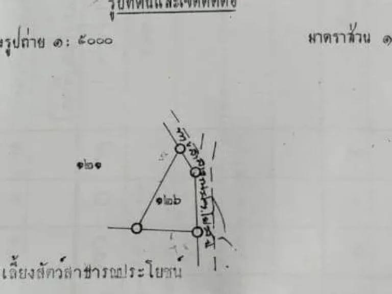 ที่ดินอยู่อาศัย ขนาด 3 ไร่เศษ อทองแสนขัน อุตรดิตถ์