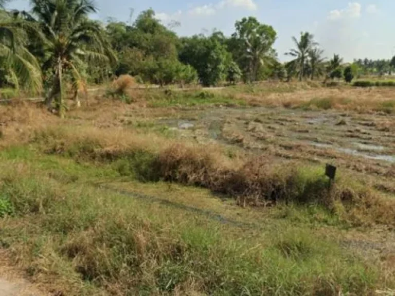 ที่ดิน 2 ไร่ ถนนเลียบคลอง 8 บึงบอน หนองเสือ ปทุมธานี