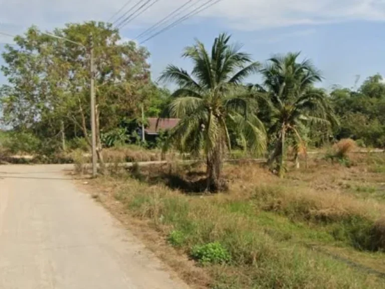 ที่ดิน 2 ไร่ ถนนเลียบคลอง 8 บึงบอน หนองเสือ ปทุมธานี