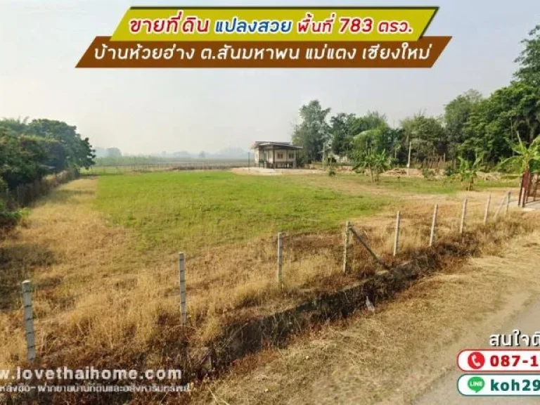 ขายที่ดิน บ้านห้วยฮ่าง ตสันมหาพน แม่แตง เชียงใหม่ พื้นที่