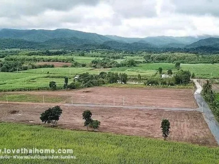 ขายที่ดิน ห้วยขมิ้น อด่านช้าง สุพรรณบุรี พื้นที่ 1 ไร่