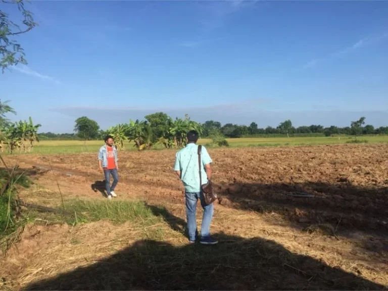 ขายถูกจริง ที่ดินถมแล้ว 8294 ไร่ ติดถนนสายเอเซีย