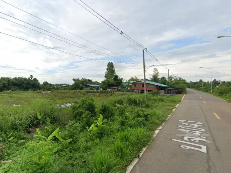 ขายที่ดินบ้านทามติดแม่น้ำบางปะกงแม่น้ำปราจีนเนื้อที่เกือบ3