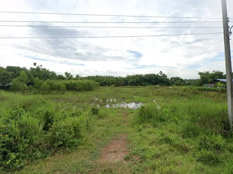 ขายที่ดินบ้านทามติดแม่น้ำบางปะกงแม่น้ำปราจีนเนื้อที่เกือบ3