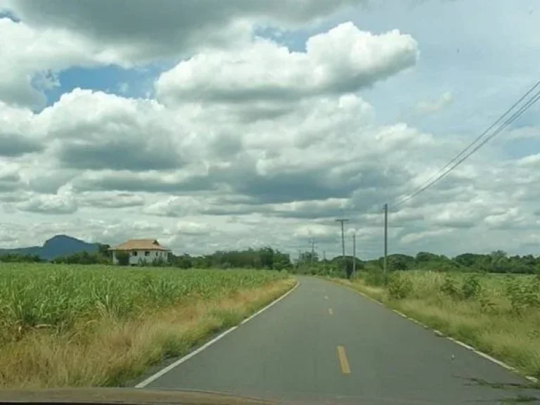 ขายที่ดิน 85 ไร่ ลำนารายณ์ อำเภอชัยบาดาล จังหวัดลพบุรี