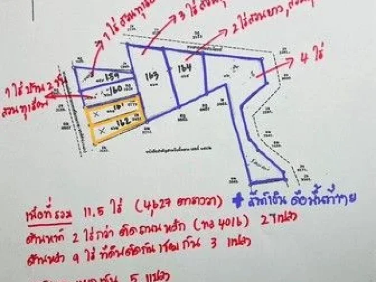 ขายบ้านเดี่ยว 2 ชั้น พร้อมสวนทุเรียน เอกสารโฉนดเนื้อที่ 11