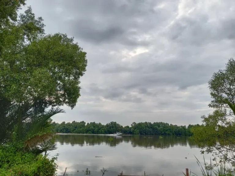 ขายที่ดินติดแม่น้ำบางปะกง 1 ไร่ 41 ตรว ฝั่งงอก