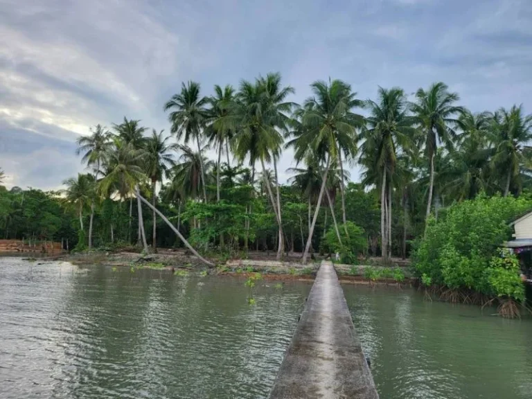 ขายที่ดินมีโฉนดติดทะเลวิวสวยเจ้าของขายเอง 10 ไร่ เกาะช้าง