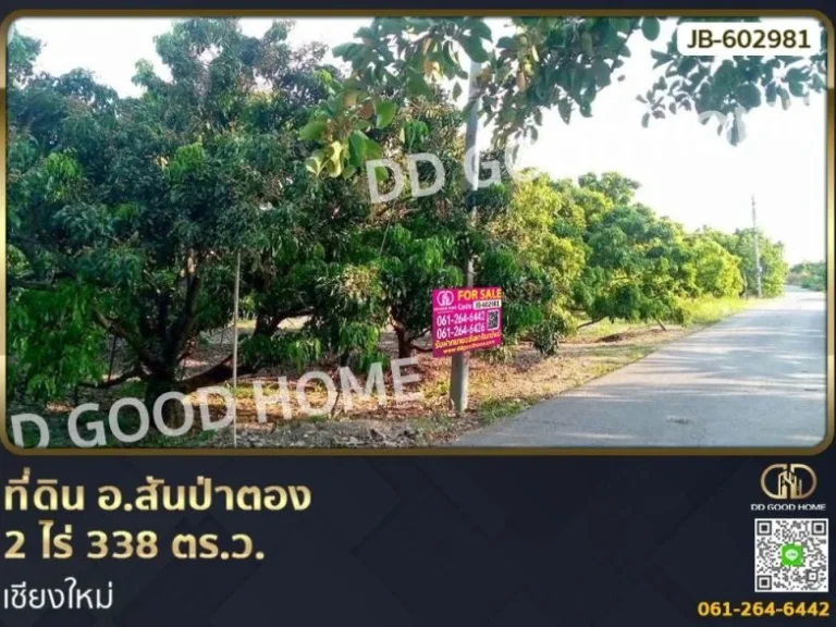 ที่ดิน อสันป่าตอง 2 ไร่ 338 ตรว เชียงใหม่