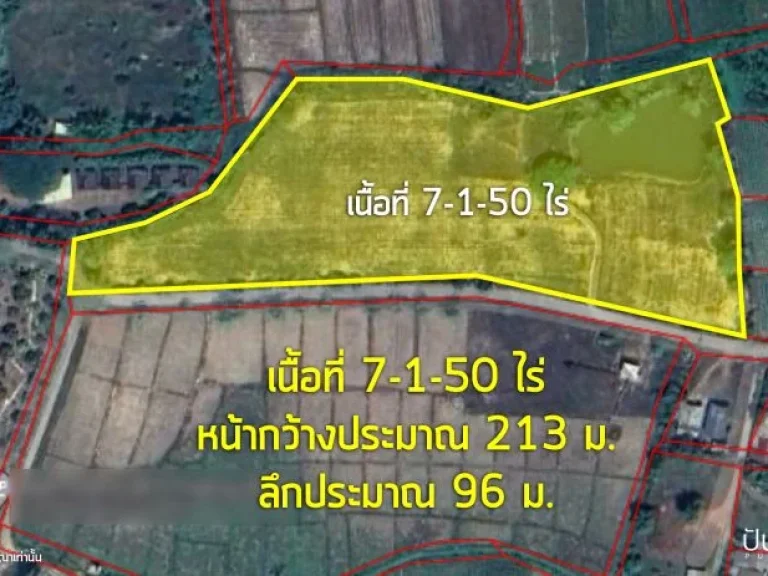 ขาย ที่ดิน 7-1-50 ไร่ ตำบล เมืองงาย อเชียงดาว จเชียงใหม่