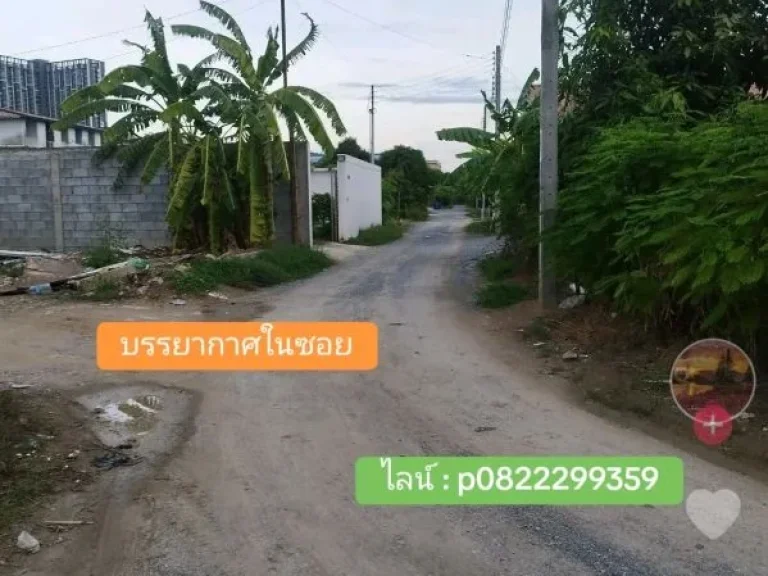 ขายที่ดินสร้างบ้าน โกดัง 200 ตรว เพชรเกษม 88 