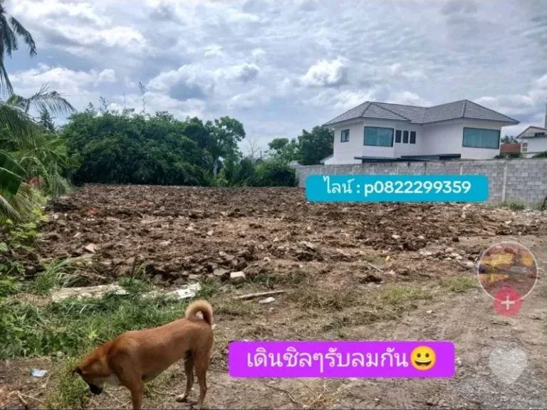 ขายที่ดินสร้างบ้าน โกดัง 200 ตรว เพชรเกษม 88 