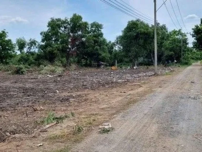 ขายที่ดินคลองห้า คลองหลวง ปทุมธานี น้ำและไฟมีพร้อม