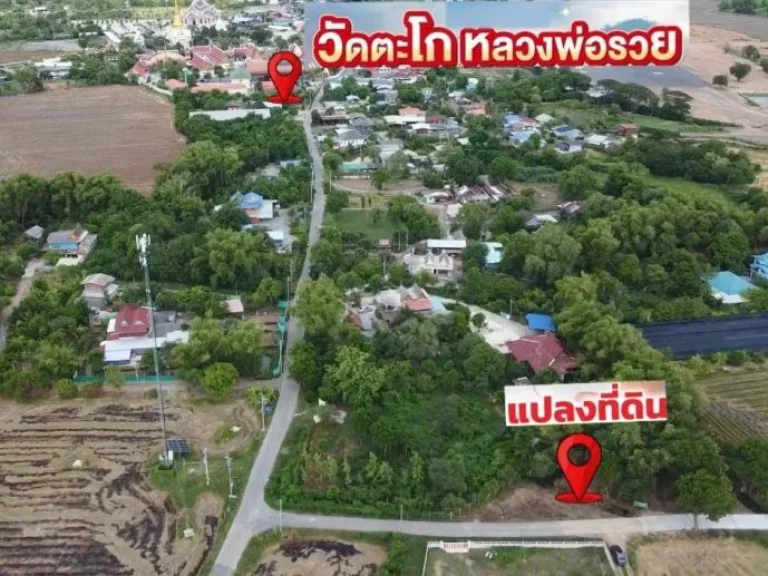 ขายที่ดิน ภาชี ใกล้วัดตะโกหลวงพ่อรวย ขนาด 50 ตรว