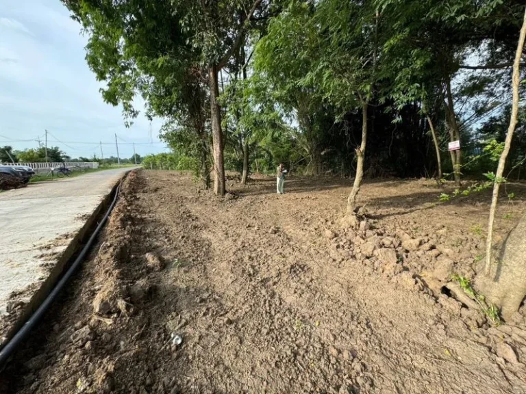 ขายที่ดิน ภาชี ใกล้วัดตะโกหลวงพ่อรวย ขนาด 50 ตรว