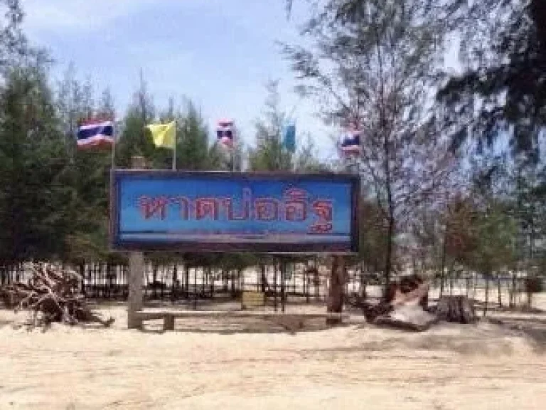 ขายที่ดิน 1005 ตารางวา ชายหาดบ่ออิฐ สงขลา