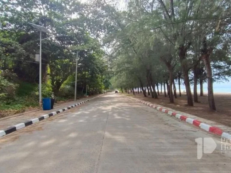 ขายที่ดินริมหาดพยูน อบ้านฉาง จระยอง ทำเลดีมาก ติดถนนทะเลเลย