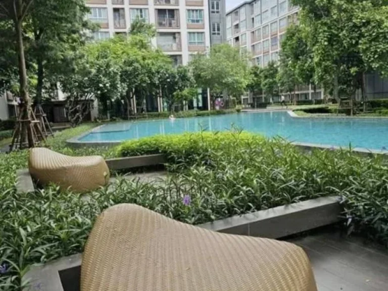 พลาดไม่ได้ ขายคอนโดติดเซ็นทรัลเฟสเชียงใหม่ D CONDO PING