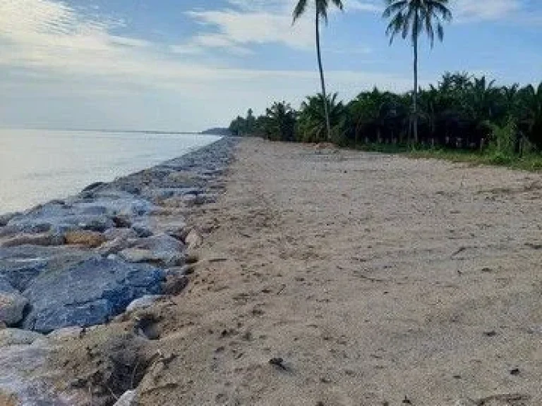 ขายที่ดินติดทะเลหาดทรายแก้ว ท่าศาลา จนครศรีฯ 12-1-27 ไร่