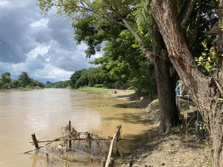 ขายที่ดินติดแม่น้ำป้ง ตำบลฟ้าฮ่าม เชียงใหม่