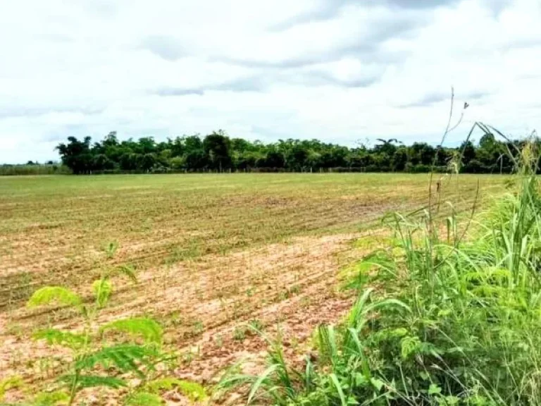 ที่ดินแปลงสวย ติดถนนลาดยาง มีไฟฟ้า อตรอน อุตรดิตถ์