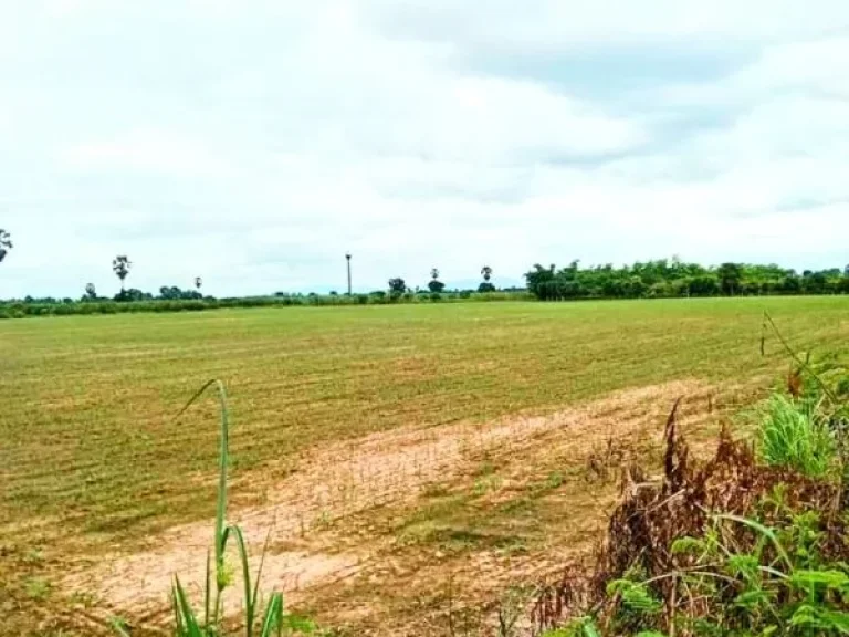 ที่ดินแปลงสวย ติดถนนลาดยาง มีไฟฟ้า อตรอน อุตรดิตถ์