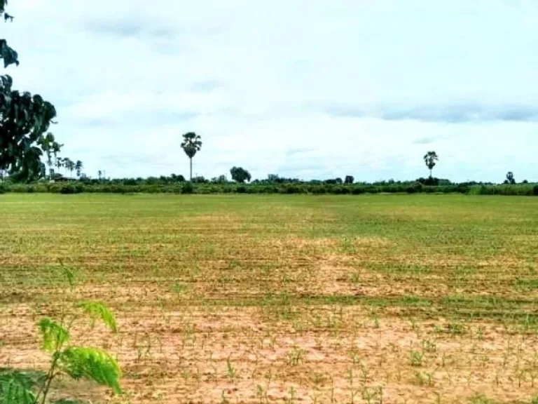 ที่ดินแปลงสวย ติดถนนลาดยาง มีไฟฟ้า อตรอน อุตรดิตถ์