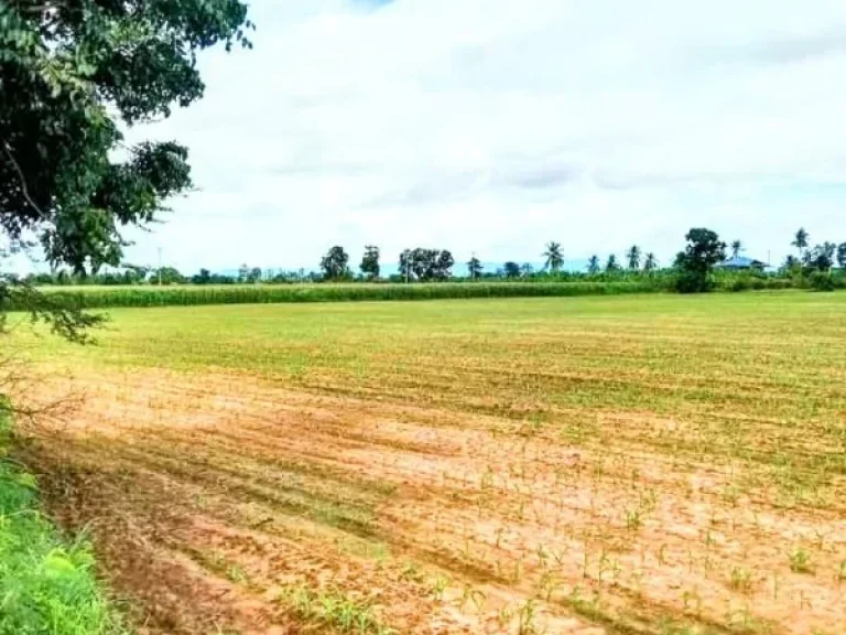 ที่ดินแปลงสวย ติดถนนลาดยาง มีไฟฟ้า อตรอน อุตรดิตถ์