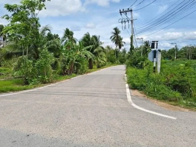 ขายที่ดินเปล่า พัทยา ห้วยใหญ่ ซอยดีเจริญรีสอร์ท