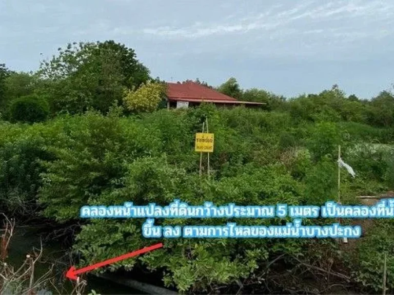 ขายที่ดิน ติดคลอง 2 ไร่ ตสนามจันทร์ อบ้านโพธิ์ จฉะเชิงเทรา