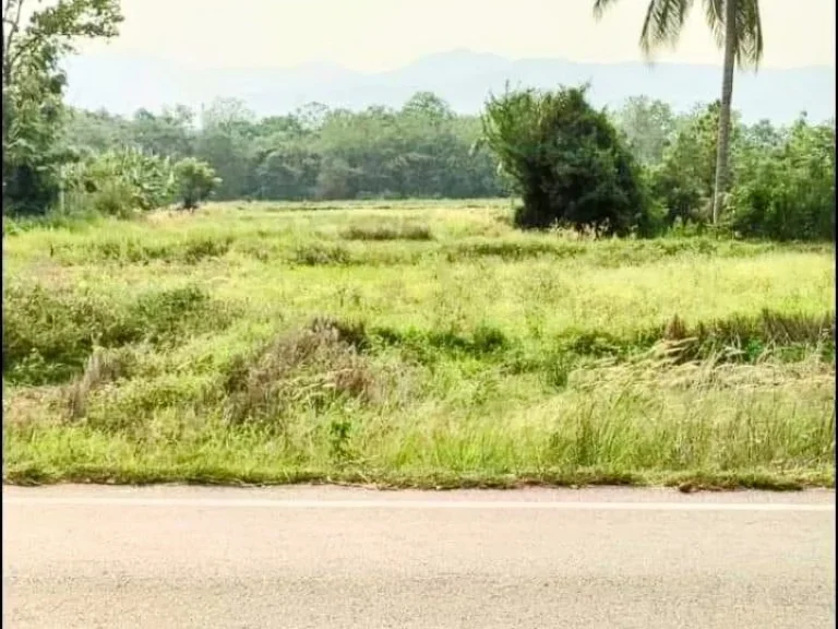 ที่ดินแปลงสวย ติดถนนสายหลัก อน้ำปาด อุตรดิตถ์