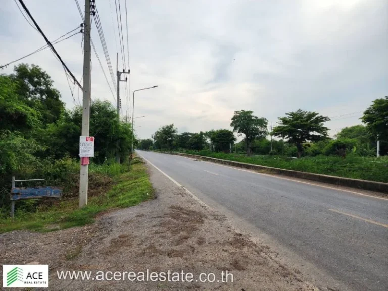 ที่ดินราคาถูก จปทุมฯ อหนองเสือ ตบึงกาสาม ขนาด 200 ตรว