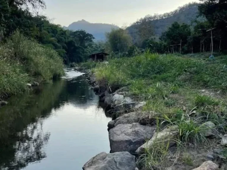 ขายสวนส้มบ้านศรีดงเย็นติดแม่น้ำฝางติดถนนใหญ่พร้อมโอน