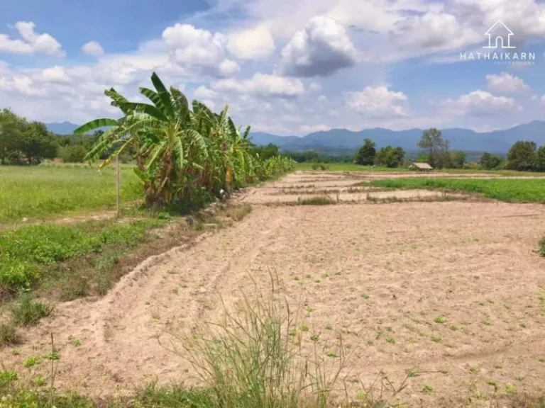 ขายที่ดินบ้านแม่นะเชียงดาววิวดอยหลวงโฉนดพร้อมโอน